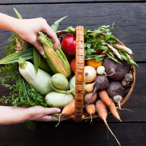 Hand holding a basket of a fresh harvest of corn, carrots and more vegetables.