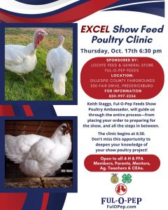 Excel Show Feed Poultry Clinic