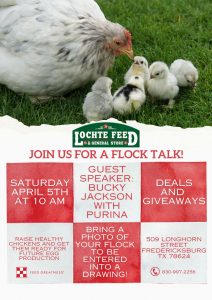 Lochte Spring Flock Talk details